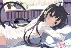 Rule 34 | 1girl, animal ears, bad id, bad pixiv id, black hair, cactus, cat ears, cat tail, clover4th, flower pot, hair bobbles, hair ornament, long hair, lying, nyanya, on bed, original, panties, pillow, purple eyes, shirt, solo, striped clothes, striped panties, stuffed animal, stuffed toy, tail, tears, underwear, white shirt