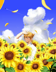 Rule 34 | 1boy, absurdres, aircraft, airplane, bad hands, blue sky, brown eyes, brown hair, cloud, cloudy sky, collared shirt, commentary request, contrail, day, field, flower, flower field, fushimi gaku, grin, hair between eyes, highres, jewelry, looking at viewer, low ponytail, male focus, mole, mole under eye, nijisanji, hugging object, outdoors, petals, ponytail, ring, shirt, short sleeves, sky, smile, solo, sunflower, sunflower field, tsumetsume zerii, virtual youtuber, white shirt, yellow flower