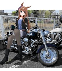 1girl absurdres alternate_costume animal_ears black_boots black_jacket black_pantyhose black_shorts blue_ribbon blue_shirt blush boots bow brown_hair closed_mouth collarbone ear_ribbon grass_wonder_(umamusume) highres hitode_(ziburi) jacket long_hair long_sleeves motor_vehicle motorcycle multicolored_hair on_motorcycle open_clothes open_jacket outdoors pantyhose pantyhose_under_shorts photo_background ribbon shirt shorts smile solo streaked_hair umamusume vehicle_request very_long_hair white_hair