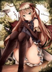 Rule 34 | 1girl, arisa (shadowverse), bad id, bad twitter id, bare shoulders, bird, black shirt, blonde hair, blush, boots, breasts, brown footwear, brown gloves, elbow gloves, elf, fingers together, forest, gloves, green eyes, hair ribbon, head wreath, highres, knee boots, knees together feet apart, knees up, large breasts, long hair, looking at viewer, miniskirt, nature, neck ribbon, panties, pantyshot, parted lips, pointy ears, red ribbon, ribbon, shadowverse, shirt, sitting, skirt, sleeveless, sleeveless shirt, snm (sunimi), solo, underwear, white panties, white skirt