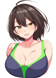 Rule 34 | 1girl, ahoge, alternate costume, asymmetrical hair, azur lane, baltimore (azur lane), blue one-piece swimsuit, blush, braid, breasts, brown hair, cleavage, collarbone, commentary, garukichi, green one-piece swimsuit, hair between eyes, highres, large breasts, looking at viewer, one-piece swimsuit, open mouth, shiny skin, short hair, side braid, simple background, single braid, smile, solo, swimsuit, two-tone swimsuit, upper body, white background, yellow eyes
