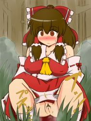 Rule 34 | 1girl, bare shoulders, blush, bow, breasts, brown eyes, brown hair, bush, covered erect nipples, detached sleeves, fart, female pubic hair, foliage, forest, grass, hair bow, hakurei reimu, japanese clothes, large breasts, long hair, long sleeves, matching hair/eyes, miko, nature, nobiru, nontraditional miko, panties, peeing, plump, pubic hair, pussy, red bow, solo, squatting, touhou, tree, uncensored, underwear, white panties