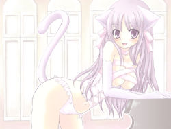 Rule 34 | 1girl, animal ears, bustier, cat ears, cat tail, elbow gloves, frilled panties, frills, gloves, lingerie, mika mikan, panties, solo, tail, underwear, underwear only, white panties