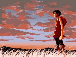 Rule 34 | 1boy, black hair, cloud, grass, hat, male focus, monkey d. luffy, one piece, outdoors, red vest, scar, scenery, shorts, sky, solo, standing, straw hat, vest, wind