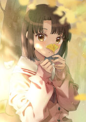 1girl brown_eyes brown_hair day female_focus holding holding_leaf leaf long_sleeves looking_at_viewer medium_hair original outdoors school_uniform solo standing tree unya