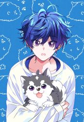 Rule 34 | 175x172nyrn, 1boy, :o, animal, bishounen, blue background, blue hair, dog, from argonavis, highres, holding, holding animal, male focus, md5 mismatch, nanahoshi ren, open mouth, puppy, purple eyes, solo, tongue, tongue out