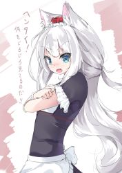 Rule 34 | 1girl, animal ears, apron, azur lane, black dress, blue eyes, blush, bow, cat ears, crossed arms, dress, fang, frilled apron, frilled sleeves, frills, from side, hair bow, hamaru (s5625t), hammann (azur lane), long hair, looking at viewer, looking to the side, nose blush, open mouth, red bow, short sleeves, silver hair, solo, translation request, very long hair, waist apron, white apron
