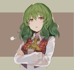 Rule 34 | 1girl, puff of air, ascot, breasts, brown background, commentary request, crossed arms, falken (yutozin), green hair, grey background, hair between eyes, highres, kazami yuuka, long sleeves, looking at viewer, medium breasts, one-hour drawing challenge, parted lips, plaid, plaid vest, red eyes, red vest, shirt, short hair, solo, touhou, two-tone background, upper body, vest, white shirt, wing collar, yellow ascot
