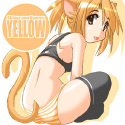 Rule 34 | :p, animal ears, ass, blonde hair, cat ears, cat tail, looking back, lowres, original, panties, sitting, solo, striped clothes, striped panties, tail, thighhighs, tongue, tongue out, tonpuu, underwear, yellow eyes