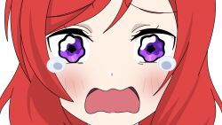 Rule 34 | 1girl, blush, crying, crying with eyes open, highres, looking at viewer, love live!, love live! school idol project, love live! superstar!!, nishikino maki, open mouth, purple eyes, red hair, shibuya kanon, simple background, sobbing, solo, tears, transparent background, wavy mouth