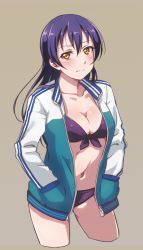 Rule 34 | 1girl, :|, beige background, bikini, blue hair, blush, breasts, cleavage, closed mouth, collarbone, commentary request, cowboy shot, cropped legs, front-tie bikini top, front-tie top, hands in pockets, jacket, long hair, long sleeves, love live!, love live! school idol project, medium breasts, navel, open clothes, open jacket, orange eyes, purple bikini, solo, sonoda umi, swimsuit, turkey min