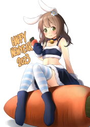 Rule 34 | 1girl, 2023, animal ears, bare shoulders, bell, black choker, black footwear, black gloves, black skirt, blush, boots, brown hair, carrot, chinese zodiac, choker, closed mouth, commentary request, flower, food, fur-trimmed gloves, fur-trimmed skirt, fur trim, gloves, green eyes, hair flower, hair ornament, happy new year, highres, holding, holding food, jingle bell, long hair, looking at viewer, navel, neck bell, new year, original, rabbit ears, shibacha, simple background, sitting, skirt, smile, solo, striped clothes, striped thighhighs, thighhighs, thighhighs under boots, white background, white flower, year of the rabbit