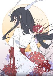 Rule 34 | 1girl, arms behind back, bellflower, black eyes, black hair, blunt bangs, breasts, chinese bellflower, cowboy shot, flat color, flower, from behind, hakama, highres, inuyasha, japanese clothes, kikyou (inuyasha), leria v, long hair, long sleeves, looking ahead, medium breasts, miko, purple flower, red flower, red hakama, shirt, shirt tucked in, sidelocks, signature, simple background, solo, spider lily, straight hair, white background, white shirt, wide sleeves