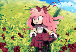Rule 34 | 1girl, alternate costume, alternate hairstyle, amy rose, bicycle, blue sky, bow, burgundy skirt, facing viewer, flower, furry, furry female, gloves, green eyes, long hair, open mouth, outdoors, petals, red bow, red flower, red rose, rellyia, riding, riding bicycle, rose, shirt, skirt, sky, solo, sonic (series), striped clothes, striped shirt, watermark, white gloves, white shirt