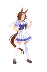 Rule 34 | 1girl, animal ears, bamboo memory (umamusume), blouse, blue eyes, brown hair, clenched hand, full body, hand on own hip, headband, highres, horse ears, horse girl, horse tail, looking at viewer, multicolored hair, official art, purple shirt, school uniform, serafuku, shirt, short hair, smile, solo, standing, tail, thighhighs, transparent background, two-tone hair, umamusume, white hair, white thighhighs, zettai ryouiki