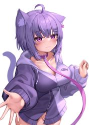 Rule 34 | 1girl, absurdres, ahoge, animal collar, animal ears, bandaid, bandaid on leg, blush, bottomless, breasts, cat ears, cat girl, cat tail, closed mouth, collar, commentary request, deaver, ear piercing, groin, highres, hood, hoodie, leash, long sleeves, looking at viewer, medium breasts, naked hoodie, nekoyama (deaver), original, piercing, purple collar, purple eyes, purple hair, purple hoodie, short hair, simple background, smile, solo, tail, tail raised, upper body, white background