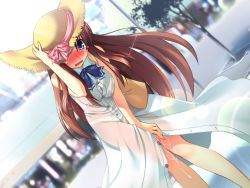 Rule 34 | 1girl, bare legs, bare shoulders, blue eyes, blush, brown hair, cum, cum in pussy, cumdrip, dress, dutch angle, embarrassed, game cg, hat, hat ribbon, lens flare, long hair, nipples, outdoors, ozawa akifumi, panties, plant, public indecency, ribbon, see-through, solo, standing, sun hat, sundress, tears, underwear, unity marriage, yuuki otome