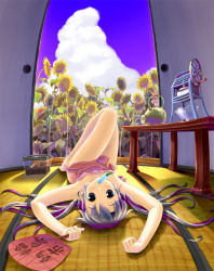 Rule 34 | 1girl, arms up, barefoot, black eyes, hand fan, fisheye, flower, food, fruit, incense, indoors, legs up, long hair, lying, mouth hold, multicolored hair, on back, original, paper fan, popsicle, purple hair, shorts, silver hair, sky, snail, solo, sunflower, sweat, tatami, towel, twintails, uchiwa, watermelon