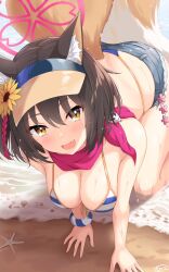 Rule 34 | 1girl, absurdres, animal ear fluff, animal ears, bikini, blue archive, blush, breasts, butt crack, cleavage, flower, fox ears, fox girl, fox tail, hair flower, hair ornament, halo, hayana neru, highleg, highleg bikini, highres, izuna (blue archive), izuna (swimsuit) (blue archive), large breasts, looking at viewer, micro shorts, official alternate costume, open mouth, pink scarf, scarf, shorts, smile, solo, striped bikini, striped clothes, sunflower, sunflower hair ornament, swimsuit, tail, visor cap, yellow eyes