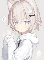 Rule 34 | ..., 1girl, :o, animal ear fluff, animal ears, baozi, blue eyes, blush, brown hair, capriccio, cat ears, cat hair ornament, commentary request, drawstring, food, grey background, hair between eyes, hair ornament, hairclip, hands up, holding, holding food, hood, hood down, hoodie, long sleeves, looking at viewer, original, parted lips, puffy long sleeves, puffy sleeves, simple background, sleeves past wrists, solo, spoken ellipsis, steam, translation request, upper body, white hoodie, x hair ornament