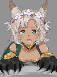 Rule 34 | 10s, 1girl, :o, animal hands, bare shoulders, blush, breasts, cat paws, claws, cleavage, dark-skinned female, dark skin, downblouse, erune, flower, granblue fantasy, green eyes, grey background, hair flower, hair ornament, hairband, isshiki (ffmania7), looking at viewer, melleau, open mouth, short hair, silver hair, small breasts, solo, tareme, teeth, twitter username