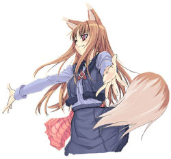 Rule 34 | 00s, animal ears, brown hair, holo, long hair, red eyes, satou atsuki, solo, spice and wolf, tail, wolf ears, wolf tail