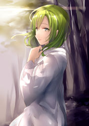 Rule 34 | 1other, alternate eye color, androgynous, aqua eyes, bad id, bad pixiv id, blush, commentary request, enkidu (fate), fate/strange fake, fate (series), green hair, half-closed eyes, hand up, hood, hood down, hooded robe, juurouta, long sleeves, looking at viewer, looking to the side, robe, solo, white robe, wide sleeves