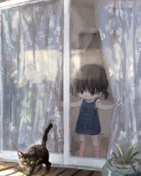 1girl absurdres animal arikomen black_cat black_hair blue_dress cat closed_mouth curtains denim_dress dress from_outside grey_eyes hair_between_eyes highres original pink_socks plant potted_plant shirt short_twintails sleeveless sleeveless_dress socks solo standing twintails white_shirt window yellow_eyes