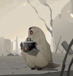 Rule 34 | absurdres, beaver, blurry, blurry background, camera, click (reverse:1999), concrete, fire, highres, holding, holding camera, no humans, reverse:1999, smoke, wreckage, wwwww