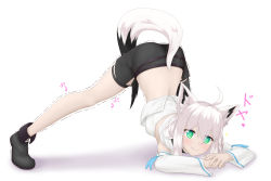 Rule 34 | 1girl, animal ear fluff, animal ears, antenna hair, arm rest, ass, between legs, black footwear, black shorts, blush, breasts, closed mouth, fox ears, fox girl, fox tail, full body, green eyes, hair between eyes, highres, hololive, jack-o&#039; challenge, kishimakai, long hair, looking at viewer, medium breasts, own hands together, shirakami fubuki, shirakami fubuki (1st costume), shirt, short hair, shorts, simple background, smile, solo, spread legs, tail, tail between legs, top-down bottom-up, trembling, underwear, virtual youtuber, white background, white hair, white shirt, wide spread legs