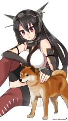 Rule 34 | 10s, 1girl, 2015, animal, artist name, bare shoulders, black hair, blush, breasts, colored eyelashes, dated, dog, elbow gloves, female focus, fingerless gloves, gloves, hairband, headgear, highres, image sample, kantai collection, kuro chairo no neko, large breasts, long hair, md5 mismatch, nagato (kancolle), red eyes, resolution mismatch, ringed eyes, shiba inu, simple background, sitting, smile, solo, source larger, thighhighs, white background