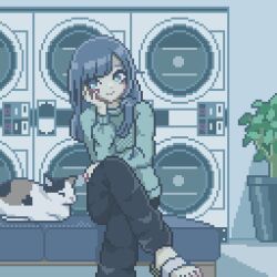 Rule 34 | 1girl, bench, black pants, blue eyes, blue hair, cat, commentary, crossed legs, foot out of frame, green sweater, hand on own thigh, head rest, highres, indoors, laundromat, long hair, looking to the side, original, pants, pixel art, plant, potted plant, sandals, sitting, smile, solo, sweater, tori maro, washing machine