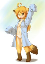 Rule 34 | 1girl, ahoge, animal ears, animal hands, barefoot, fang, female focus, fox ears, fox tail, full body, furry, furry female, glasses, gradient background, kagerofu, long hair, open clothes, open mouth, open shirt, oversized clothes, panties, shirt, smile, solo, tail, underwear, yellow eyes