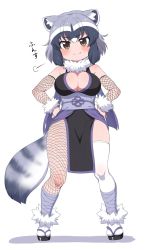 Rule 34 | 1girl, animal ears, bandages, bare shoulders, blush, breasts, brown eyes, cleavage, common raccoon (kemono friends), fang, fang out, fishnet gloves, fishnet socks, fishnets, full body, fur collar, gloves, grey hair, hands on own hips, highres, japanese clothes, kemono friends, large breasts, looking at viewer, multicolored hair, ninja, obi, pelvic curtain, raccoon ears, raccoon tail, ransusan, sash, short hair, simple background, smile, smug, socks, solo, tail, thighhighs, white background, white hair, white socks