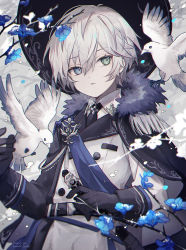 Rule 34 | 1boy, bird, blue flower, cape, coat, dove, facing viewer, flower, grey cape, grey eyes, hat, highres, long sleeves, looking to the side, male focus, namiki itsuki, original, pants, parted lips, short hair, solo, teeth, dove, white hair