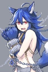 Rule 34 | &gt;:(, 10s, 1girl, ahoge, animal ear fluff, animal ears, animal hands, bare shoulders, blue hair, bound, bound wrists, chain, choker, fangs, fenrir (shingeki no bahamut), flat chest, frown, granblue fantasy, grey background, groin, hair between eyes, highres, jewelry, long hair, navel, necklace, nosuku, open mouth, red eyes, shingeki no bahamut, simple background, solo, tail, teeth, tied up, tsurime, v-shaped eyebrows, wolf ears, wolf paws, wolf tail