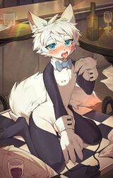 Rule 34 | 1boy, absurdres, alcohol, androgynous, animal ear fluff, animal nose, bar (place), blue bow, blue bowtie, blue eyes, blush, bow, bowtie, crossdressing, cup, drinking glass, fangs, fewer digits, furry, furry male, glass bottle, highres, korean commentary, male focus, nipple piercing, on table, open mouth, original, penis, piercing, reverse outfit, short hair, solo, sosak0622, table, tablecloth, tail, tongue, tongue out, trap, unworn bikini bottom, waiter, white hair, wine, wine glass, wolf boy, wolf tail