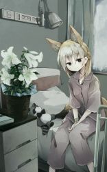 Rule 34 | 1girl, alternate costume, animal ear fluff, animal ears, bandaged arm, bandages, bed, between legs, black eyes, blonde hair, curtains, extra ears, eyes visible through hair, fennec (kemono friends), flower, flower request, fox ears, fox girl, fox tail, hair between eyes, hand between legs, highres, indoors, kemono friends, lamp, light smile, lily (flower), long hair, looking at viewer, multicolored hair, nanana (nanana iz), on bed, pants, plant, potted plant, sitting, solo, stuffed animal, stuffed raccoon, stuffed toy, tail, white hair