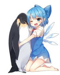 Rule 34 | 1girl, ;d, animal, animal hug, bad id, bad twitter id, bird, blue eyes, blue hair, bow, cirno, hair bow, hug, matching hair/eyes, one eye closed, open mouth, penguin, shnva, short hair, simple background, smile, solo, touhou, wings