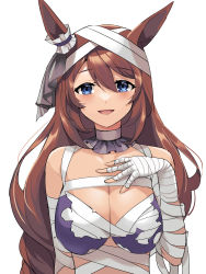 Rule 34 | 1girl, :d, absurdres, akitsuki (oenothera), animal ears, bandages, black ribbon, blue eyes, bow, breasts, brown hair, cleavage, commentary request, ear ribbon, hair between eyes, highres, horse girl, large breasts, long hair, looking at viewer, official alternate costume, open mouth, ribbon, simple background, smile, solo, super creek (chiffon ribbon mummy) (umamusume), super creek (umamusume), umamusume, upper body, white background