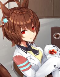 Rule 34 | 1girl, absurdres, agnes tachyon (umamusume), ahoge, animal ears, breasts, brown hair, closed mouth, commentary request, cup, eyebrows hidden by hair, hair between eyes, highres, holding, holding saucer, horse ears, horse girl, horse tail, indoors, lab coat, long sleeves, medium breasts, omoomomo, on chair, open clothes, red eyes, saucer, signature, sitting, sleeves past fingers, sleeves past wrists, smile, solo, sweater vest, tail, tea, teacup, umamusume