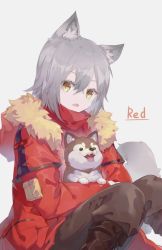 Rule 34 | 1girl, animal, animal ears, arknights, boots, brown footwear, brown pants, character name, commentary request, dog, fang, feet out of frame, fur-trimmed jacket, fur trim, grey background, grey hair, highres, holding, holding animal, holding dog, jacket, knees up, looking at viewer, nejikyuu, open mouth, pants, projekt red (arknights), red jacket, short hair, simple background, sitting, solo, tail, wolf ears, wolf tail, yellow eyes