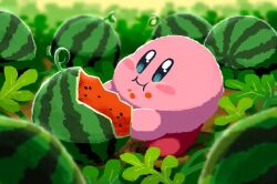 Rule 34 | :i, aruco co, blue eyes, blurry, blurry background, blush, blush stickers, closed mouth, commentary, eating, food, food on face, fruit, full body, kirby, kirby (series), leaf, nintendo, no humans, plant, symbol-only commentary, vines, watermelon