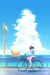 Rule 34 | 1girl, absurdres, bicycle, blue hair, blue shirt, cat, cloud, colored inner hair, commentary, english commentary, highres, looking to the side, multicolored hair, ocean, original, pink shorts, riding, riding bicycle, scenery, shirt, shoes, shorts, sign, sky, sneakers, solo, tama gotoh, white shirt, yoruny