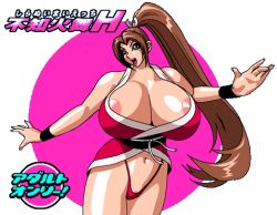 Rule 34 | 1girl, breasts, brown hair, fatal fury, gigantic breasts, hairband, high ponytail, huge breasts, jyubei, lips, long hair, lowres, nipple slip, nipples, panties, partially visible vulva, ponytail, shiranui mai, smile, snk, the king of fighters, underwear