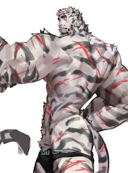 Rule 34 | 1boy, abs, animal ears, arknights, bara, black male underwear, bounsies, briefs, bulge, expressionless, facial hair, furry, furry male, goatee, highres, looking at viewer, male focus, male pubic hair, male underwear, male underwear pull, mountain (arknights), muscular, muscular male, navel hair, pubic hair, pubic hair peek, scar, scar across eye, scar on face, short hair, solo, thick arms, tiger boy, tiger ears, topless male, underpec, underwear, underwear only, unfinished, white fur, white hair