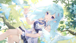Rule 34 | 1girl, absurdres, arm cuffs, artist name, bare shoulders, bird, blue hair, blue ribbon, braid, branch, breasts, character request, check character, commentary request, day, dress, feathers, feet out of frame, flower, hair ornament, heart, heart hair ornament, highres, indie virtual youtuber, leaf, looking at viewer, medium breasts, open mouth, pointy ears, purple eyes, qiyue mianmian, revision, ribbon, single braid, sitting, smile, solo, somna, virtual youtuber, white dress, wrist cuffs
