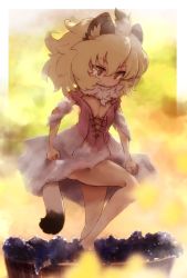 Rule 34 | 10s, absurdres, alternate costume, animal ears, bare arms, bare legs, bare shoulders, barefoot, blonde hair, corset, dress, food, fruit, fur collar, grape stomping, grapes, highres, kemono friends, kolshica, lion (kemono friends), lion ears, lion tail, solo, tail