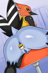 Rule 34 | 1girl, anal, anal object insertion, anus, ass, beak, bird, black eyes, blue background, blush, bottomless, breasts, butt plug, chair, clothes lift, creatures (company), curtains, female focus, fletchinder, from behind, furry, furry female, game freak, gen 6 pokemon, highres, huge ass, indoors, looking at viewer, looking back, medium breasts, nintendo, object insertion, personification, poke ball theme, pokemon, pokemon (creature), pokemon xy, pussy, sex toy, shadowill, shiny skin, shirt, shirt lift, simple background, sleeveless, sleeveless shirt, solo, spread legs, sweat, tail, uncensored, yellow shirt