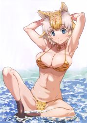 Rule 34 | 1girl, absurdres, animal ears, animal print, armpits, arms behind head, arms up, bikini, blonde hair, blue eyes, breasts, cleavage, closed mouth, collarbone, full body, haritama hiroki, highres, large breasts, navel, scan, short hair, sitting, smile, socks, solo, swimsuit, tail, tiger ears, tiger tail, toranoana, water